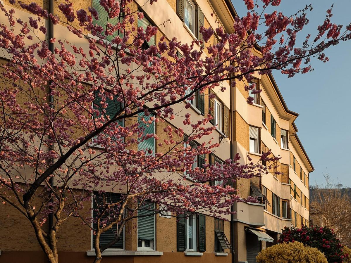 Central Suite Meran מראה חיצוני תמונה